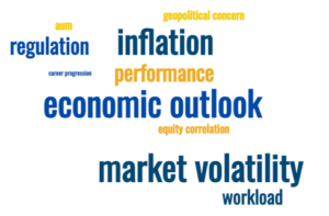 Wealth Managers worry word cloud